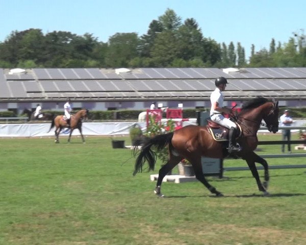 FEI Reitturnier Eschweiler (GER) 2020