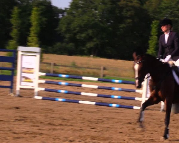 Reitturnier Altlandsberg 2020