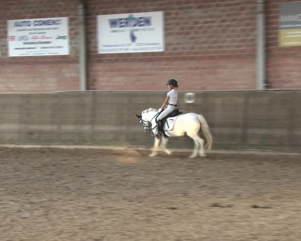 Reitturnier Kirchhoven-Vinn 2020