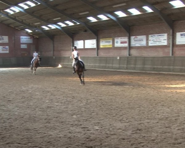 Reitturnier Kirchhoven-Vinn 2020