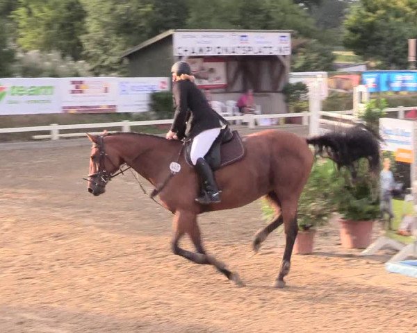 Reitturnier Behrendorf 2020