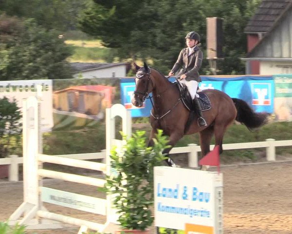 Reitturnier Behrendorf 2020
