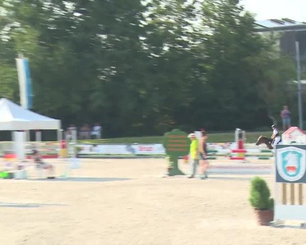 Reitturnier Grafenrheinfeld/Ufr. 2020
