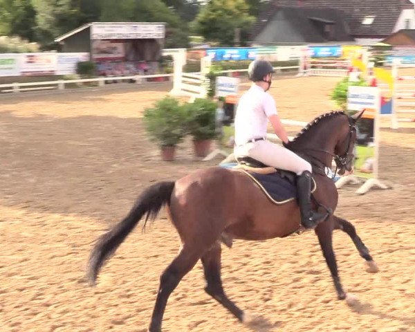 Reitturnier Behrendorf 2020