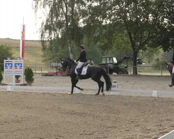 Reitturnier Kierspe-Hohenholten 2020