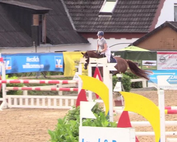 Reitturnier Behrendorf 2020