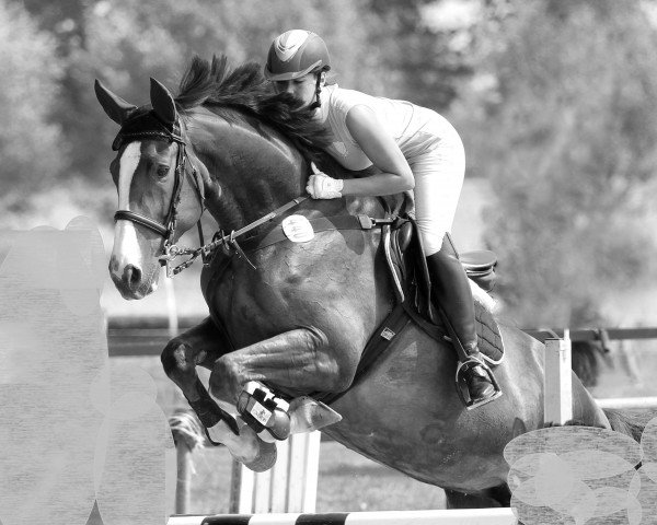 broodmare Develline (Westphalian, 2008, from Decano)