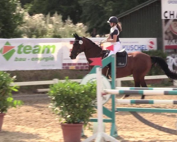 Reitturnier Behrendorf 2020