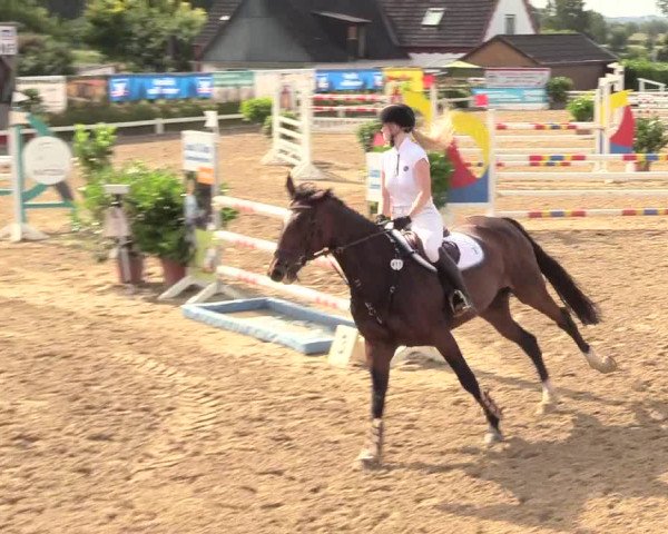 Reitturnier Behrendorf 2020