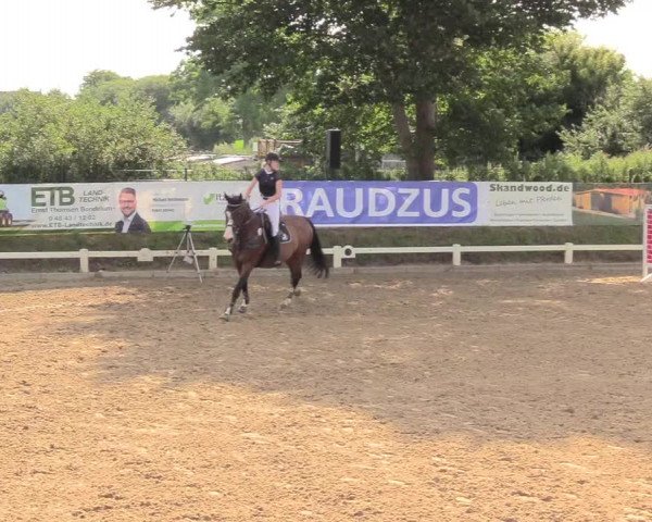 Reitturnier Behrendorf 2020