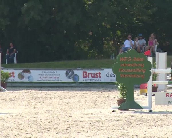 Reitturnier Grafenrheinfeld/Ufr. 2020