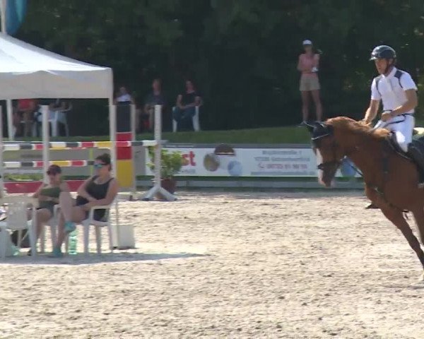 Reitturnier Grafenrheinfeld/Ufr. 2020