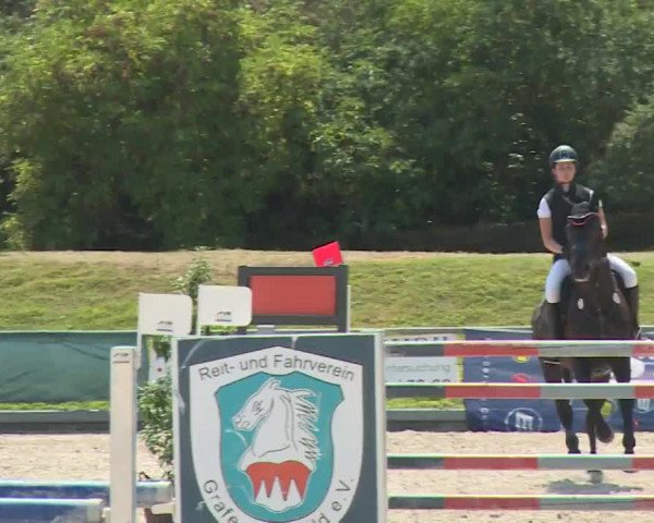 Reitturnier Grafenrheinfeld/Ufr. 2020