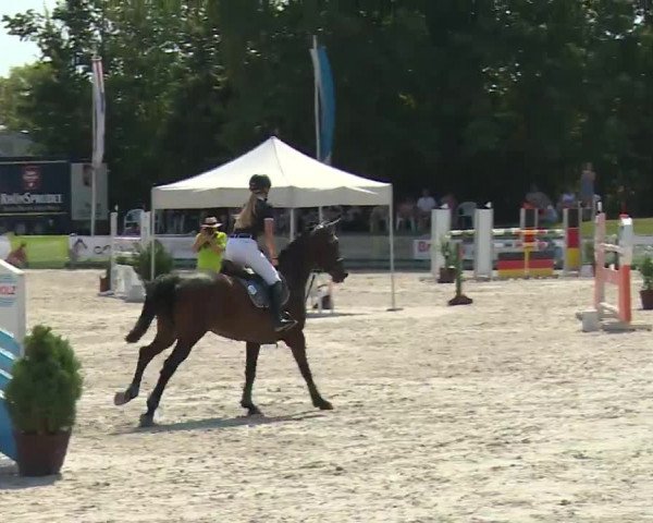 Reitturnier Grafenrheinfeld/Ufr. 2020