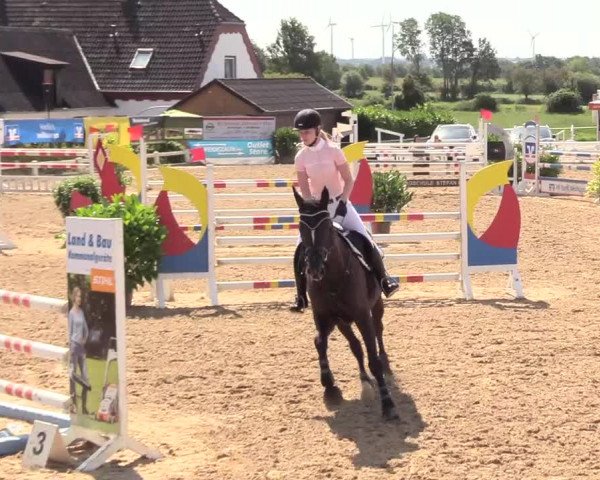 Reitturnier Behrendorf 2020