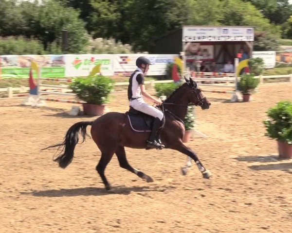 Reitturnier Behrendorf 2020