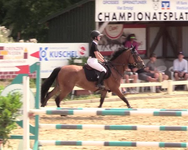 Reitturnier Behrendorf 2020