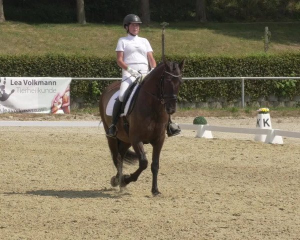 Reitturnier Kierspe-Hohenholten 2020