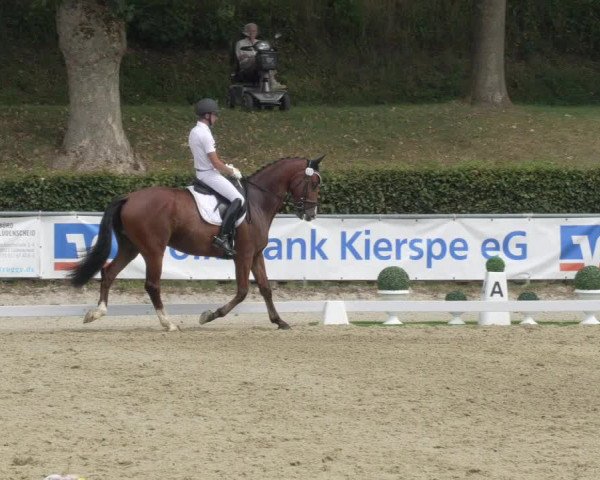 Reitturnier Kierspe-Hohenholten 2020