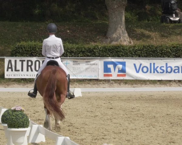 Reitturnier Kierspe-Hohenholten 2020