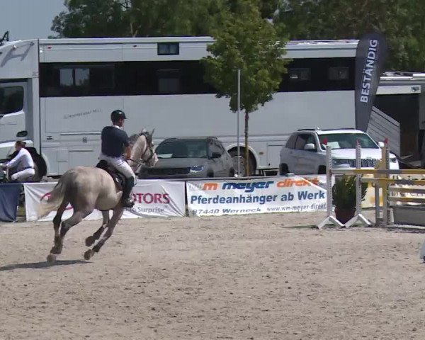 Reitturnier Grafenrheinfeld/Ufr. 2020