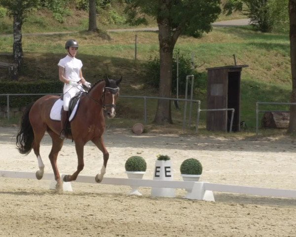 Reitturnier Kierspe-Hohenholten 2020