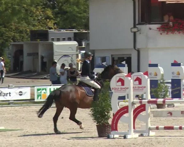 Reitturnier Grafenrheinfeld/Ufr. 2020