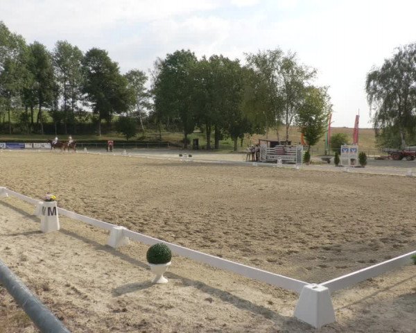 Reitturnier Kierspe-Hohenholten 2020