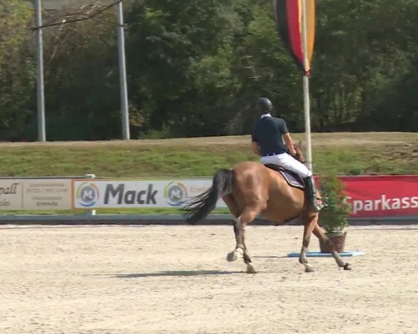 Reitturnier Grafenrheinfeld/Ufr. 2020