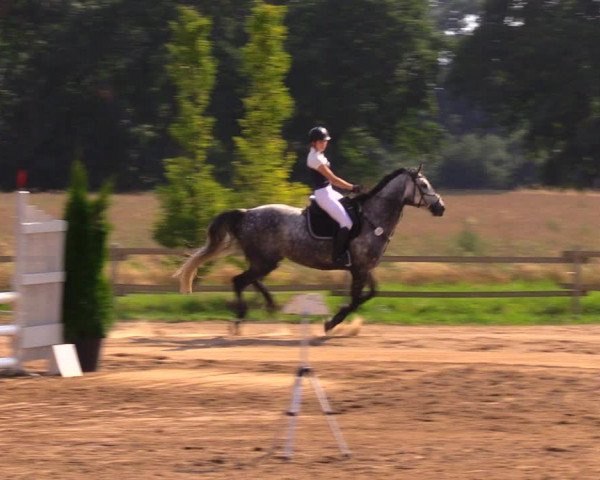 Reitturnier Altlandsberg 2020