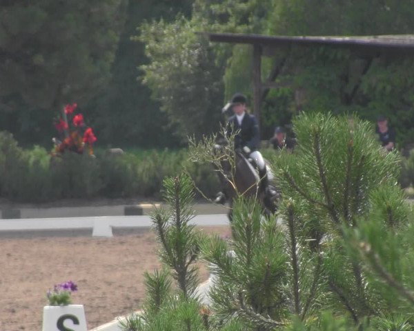 Reitturnier Dallgow 2020