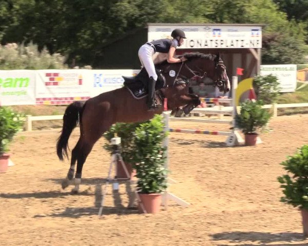 Reitturnier Behrendorf 2020