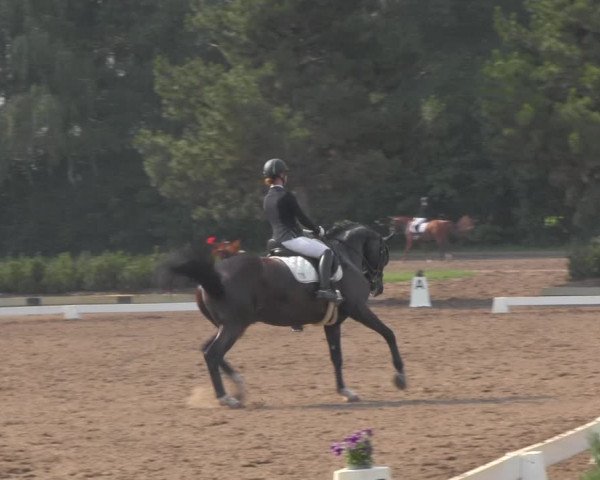 Reitturnier Dallgow 2020