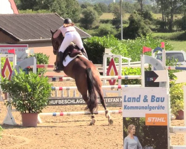 Reitturnier Behrendorf 2020