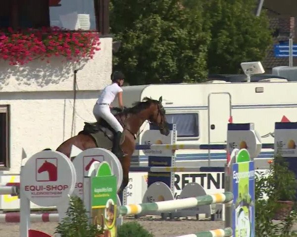 Reitturnier Grafenrheinfeld/Ufr. 2020