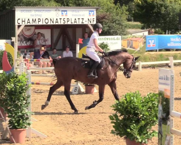 Reitturnier Behrendorf 2020