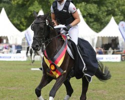 Zuchtstute Light of Universe (Trakehner, 2010, von Starway)