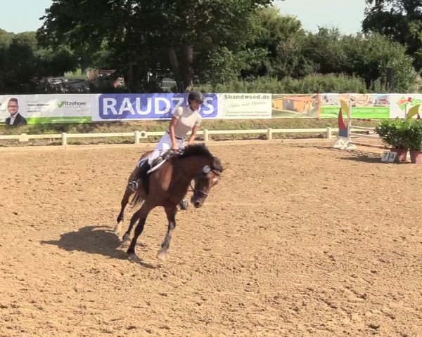 Reitturnier Behrendorf 2020