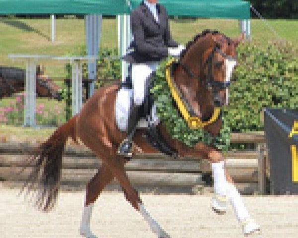 dressage horse Bardolino M (Württemberger, 2012, from Boston)
