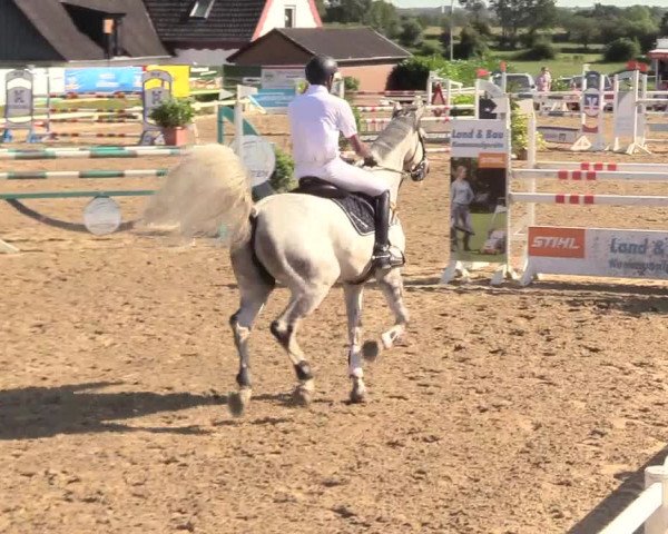 Reitturnier Behrendorf 2020