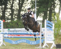 jumper Applejack Rabbit (Hanoverian, 1999, from Adlantus As FRH)