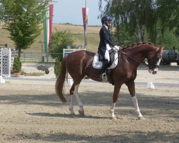 Reitturnier Kierspe-Hohenholten 2020