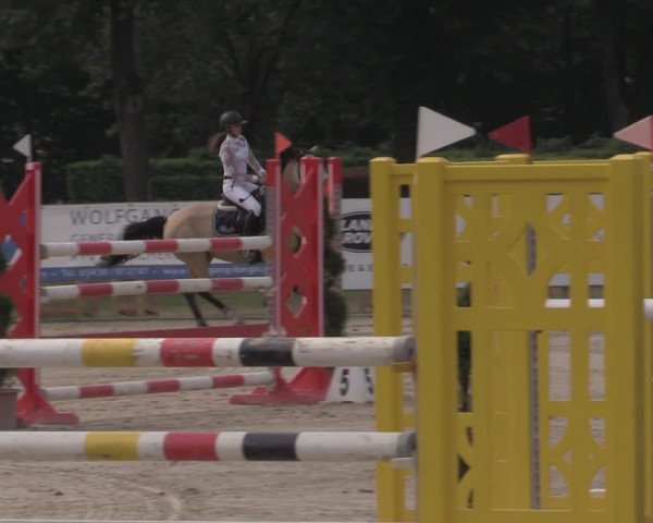 Reitturnier Münster-Handorf 2020