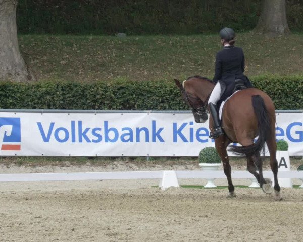 Reitturnier Kierspe-Hohenholten 2020