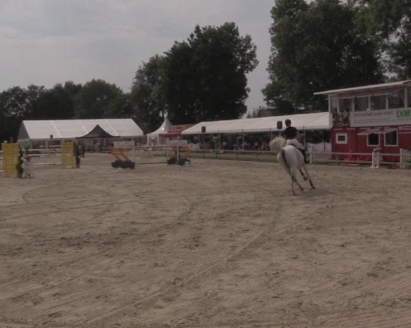 Reitturnier Münster-Handorf 2020