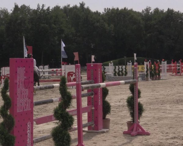Reitturnier Münster-Handorf 2020