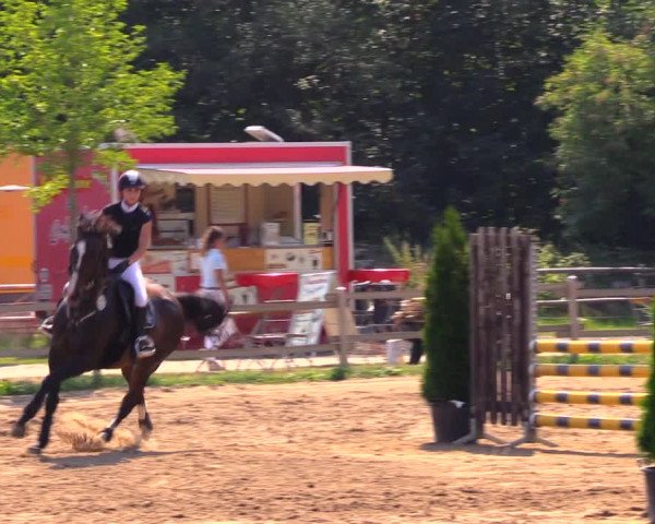 Reitturnier Altlandsberg 2020