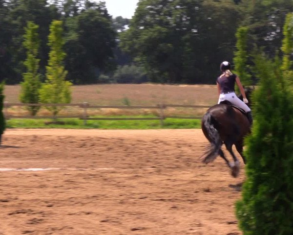 Reitturnier Altlandsberg 2020