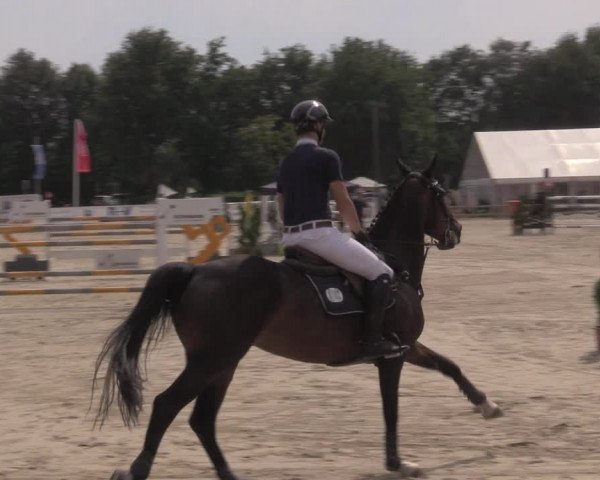 Reitturnier Münster-Handorf 2020
