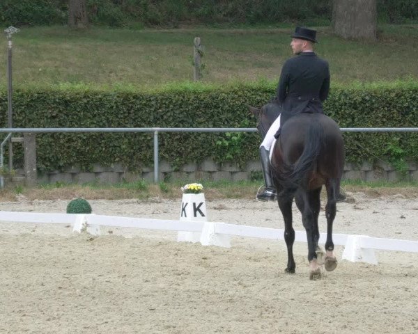 Reitturnier Kierspe-Hohenholten 2020